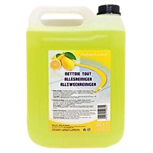 AJR NETT. MULTI SURFACES CITRON 5L